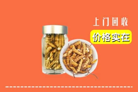 上饶万年县回收散虫草