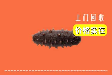 上饶万年县回收海参