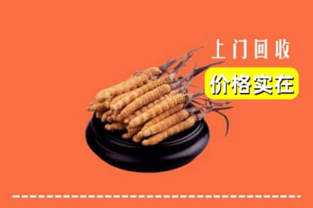 上饶万年县回收冬虫夏草